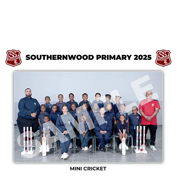 Mini Cricket